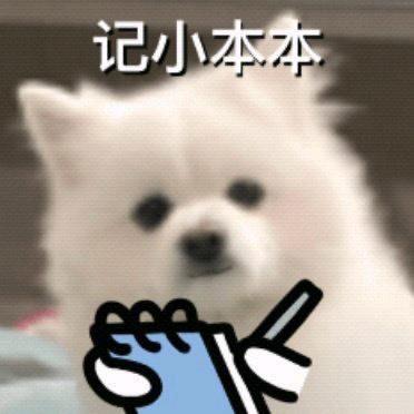 萝贝腿拯救世界