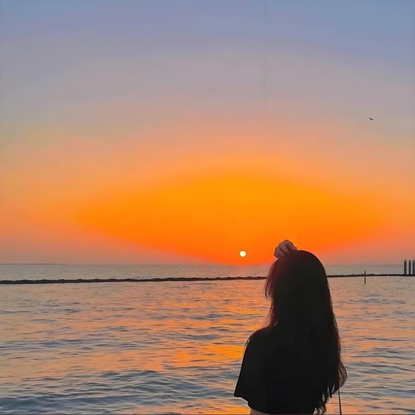 겨울 장미