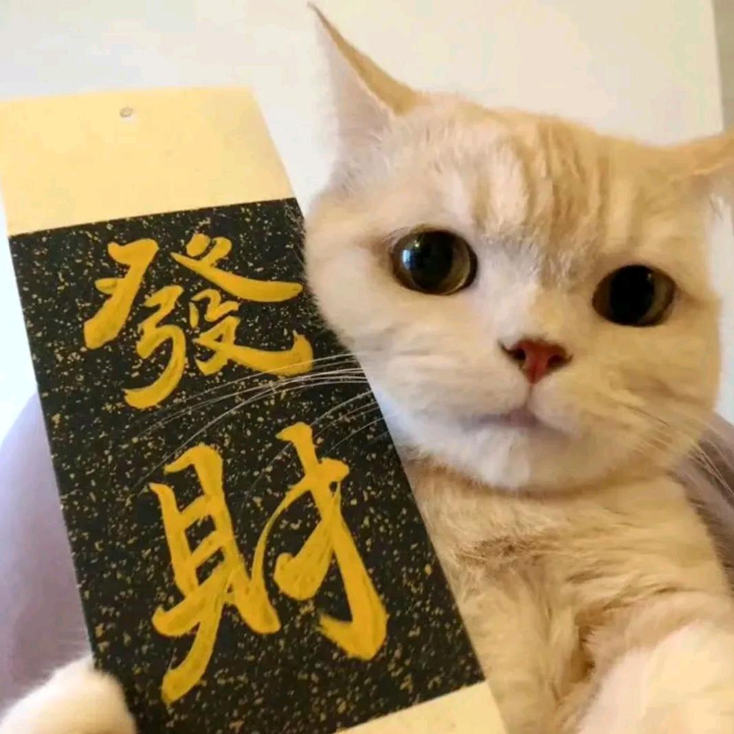 胖媳运动搭子