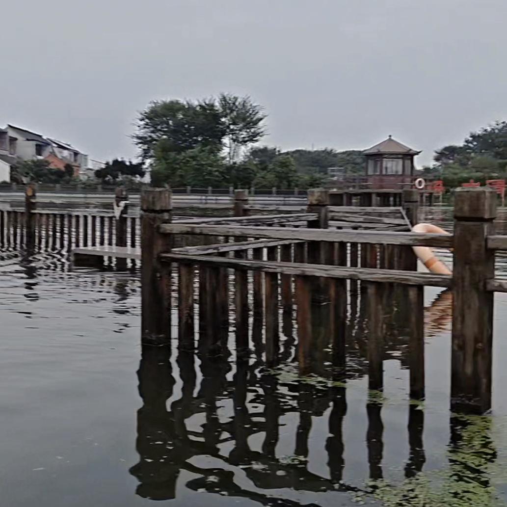 🍀家🍁有🌴儿🌷女🌸