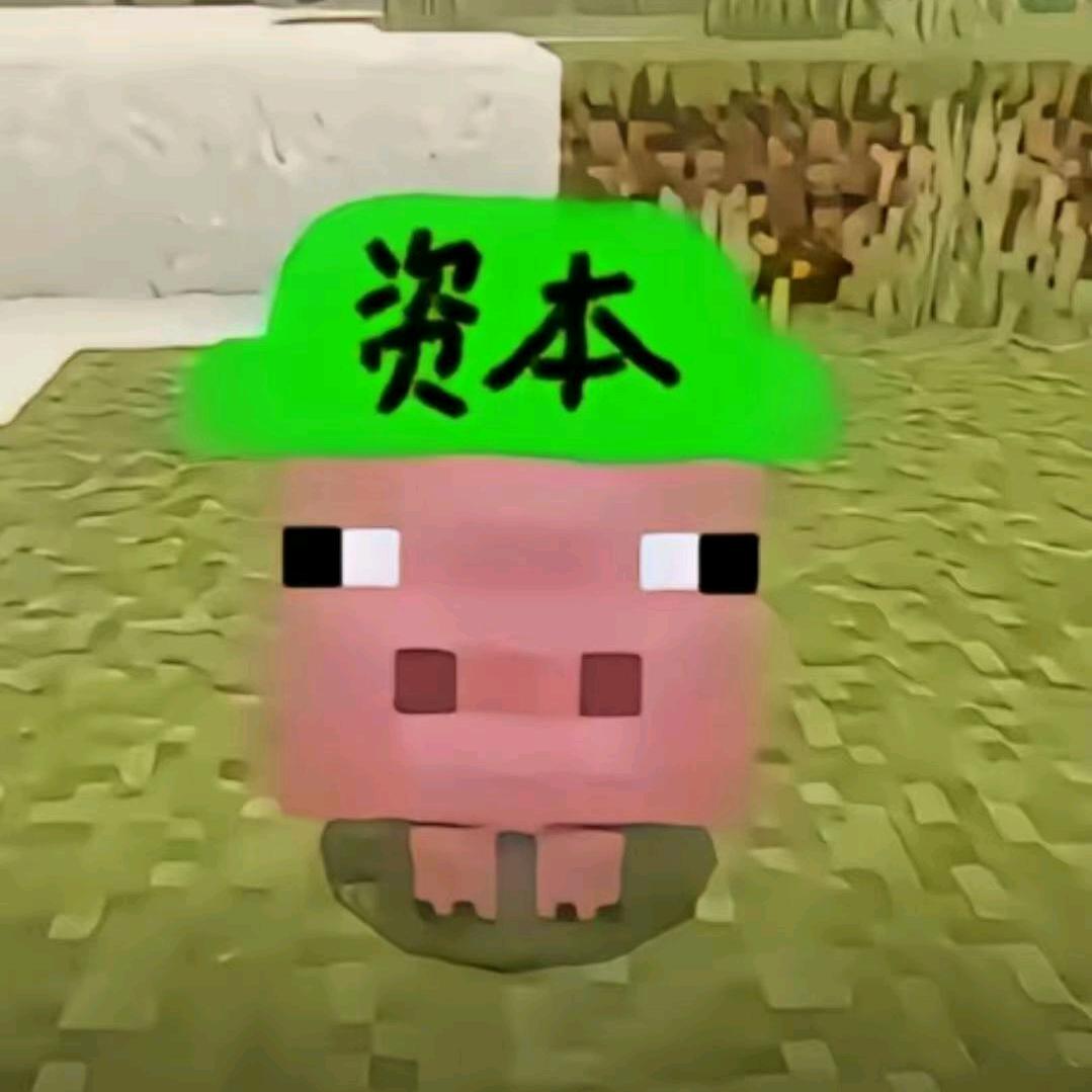 一只星河（👀主页）