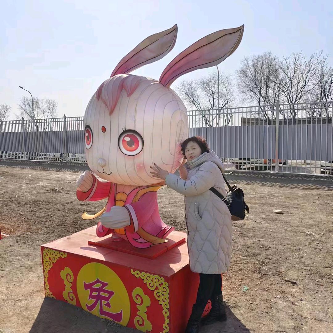 君子兰
