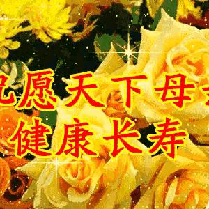 我是一只小蚂蚁