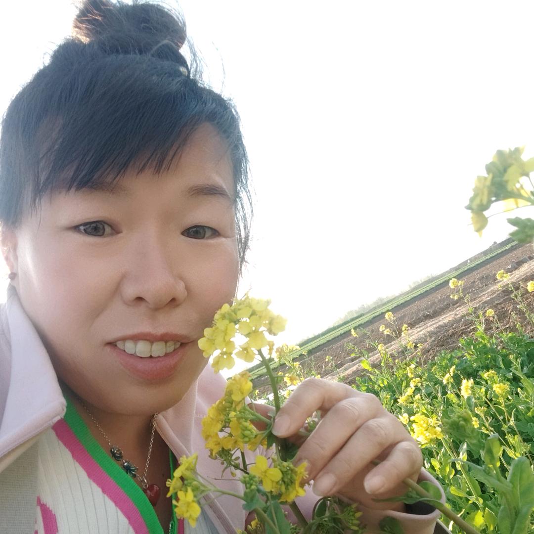 感恩的心