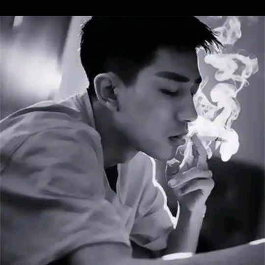 飞蛾扑火！见光就躲！