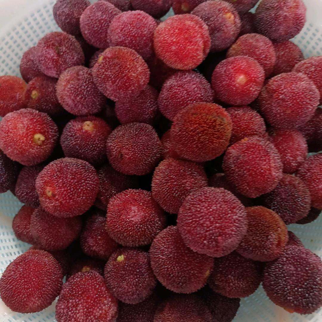 清风伴酒，