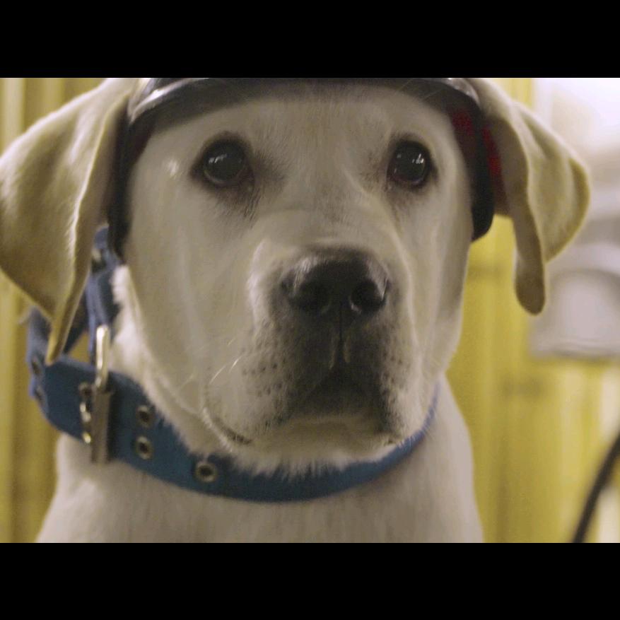 叶哥生意很好的