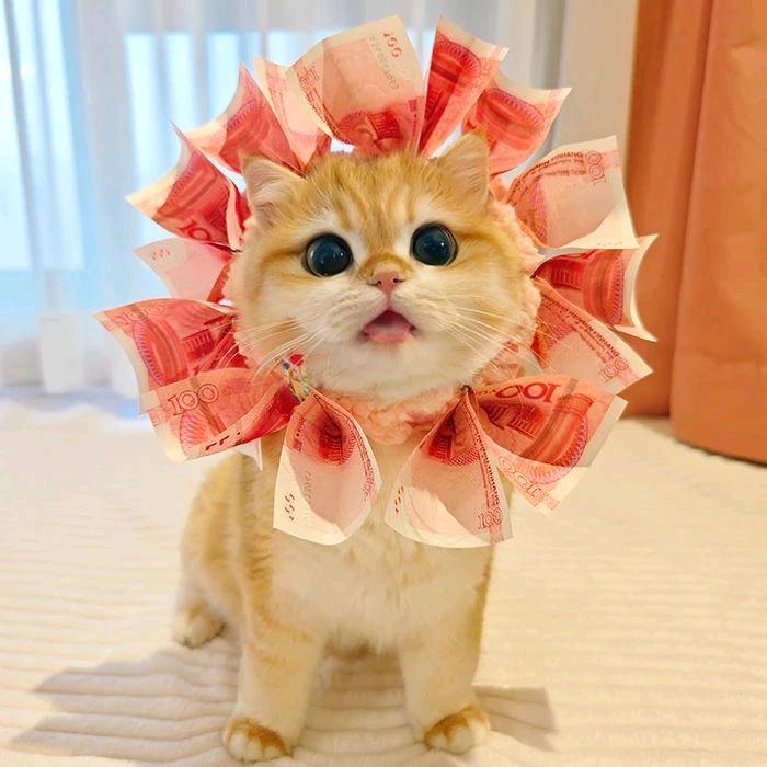 🌈好运连连心想事成一夜暴富中奖三千万~