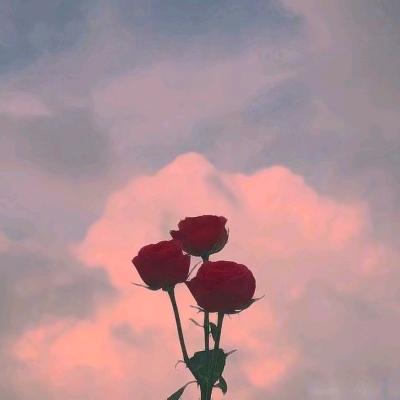 陌
