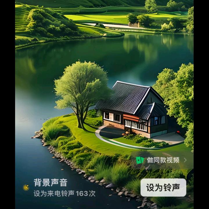 九月菊