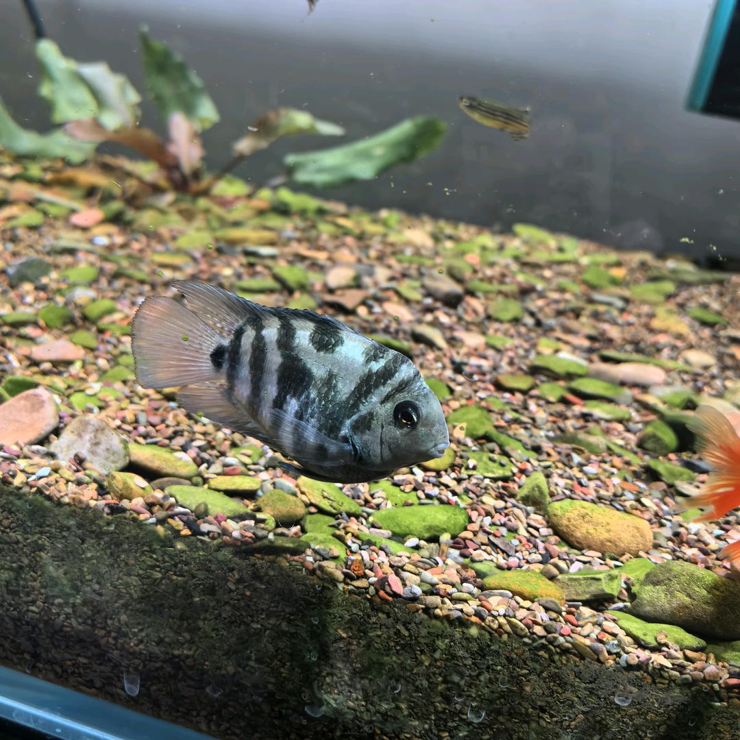 💧家 电 维 修