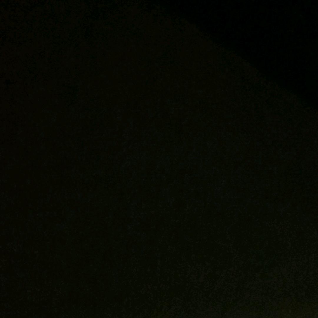 熊大一家人