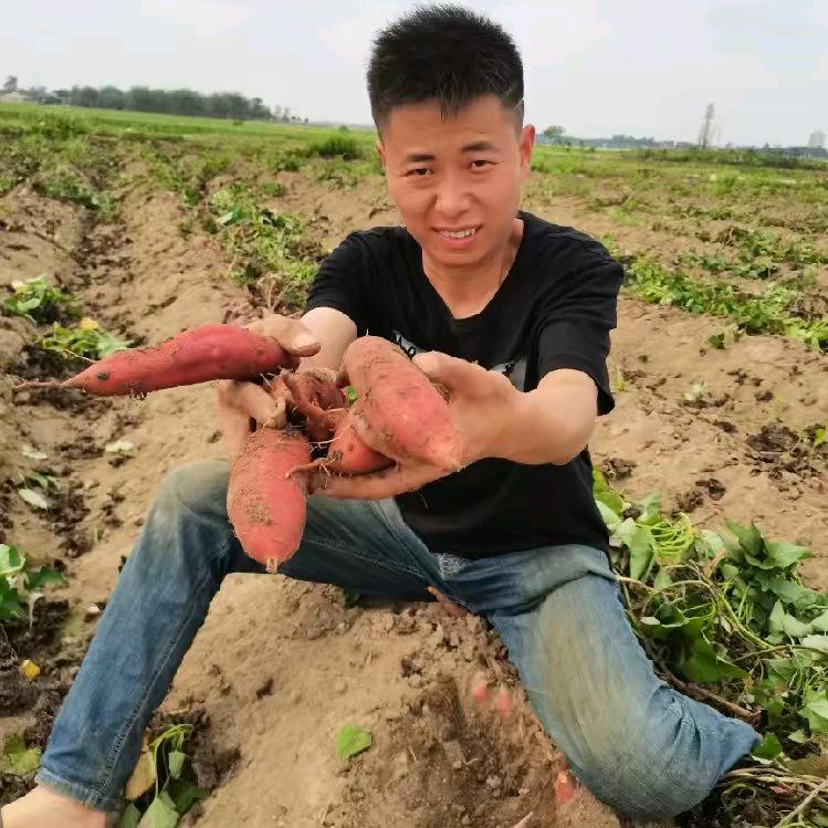 小老弟