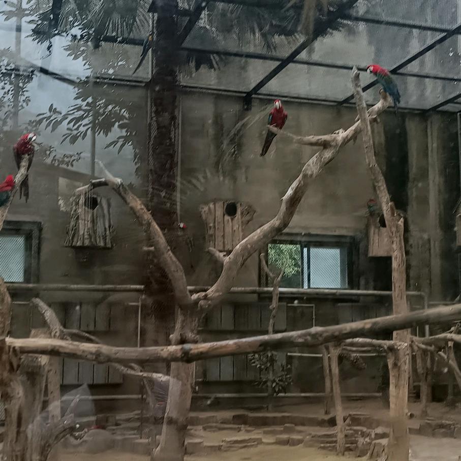 清风明月无人管