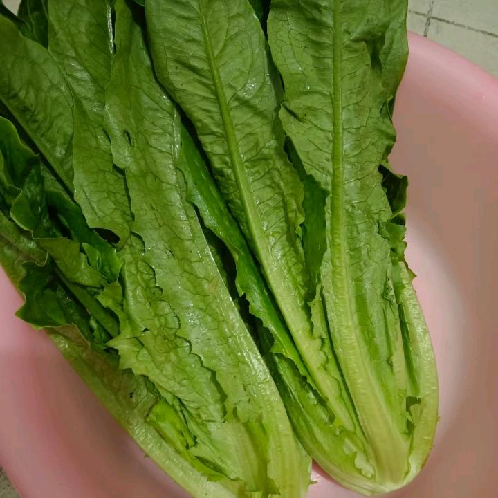 难过不知道跟谁说一声🧣🧣