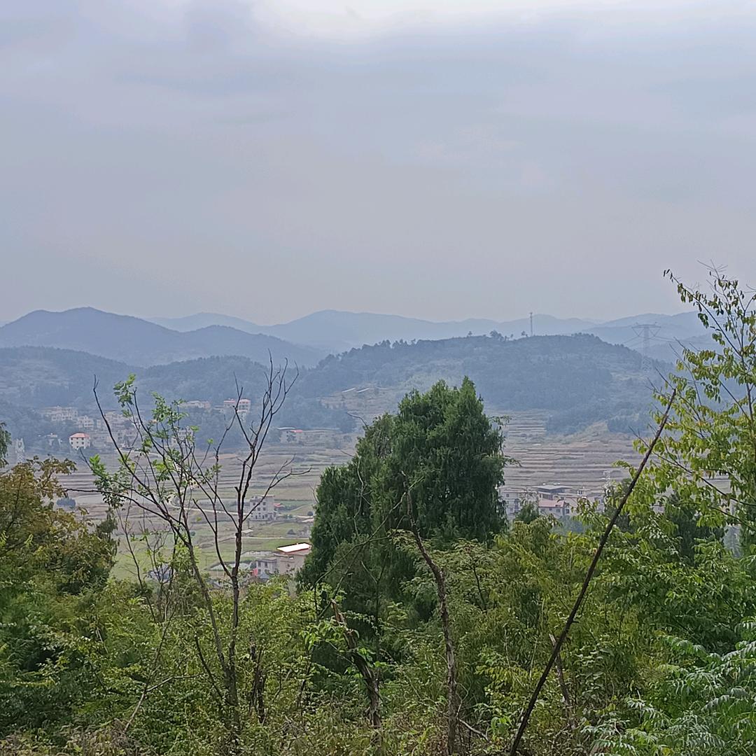 📖゛若爱丶会伤つ