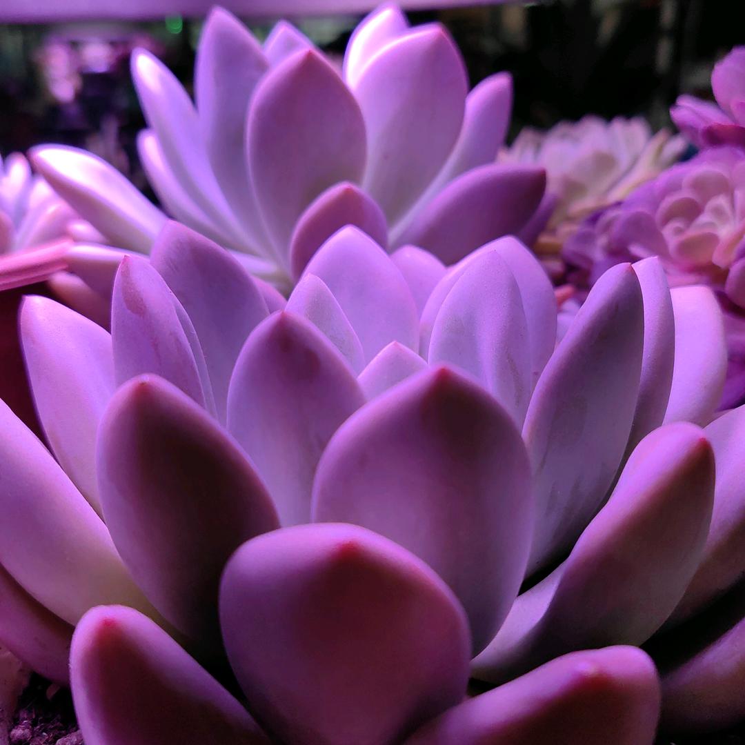 💞⃟顺风顺水এۣ🕊