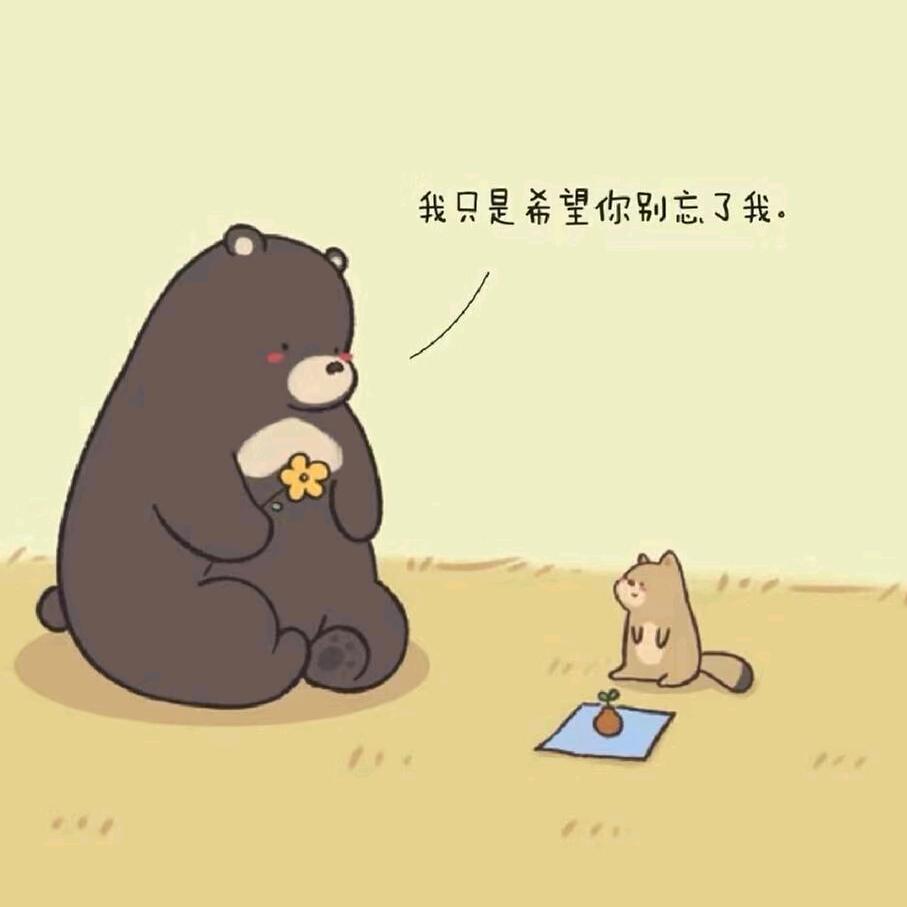 小宝是只招财猫