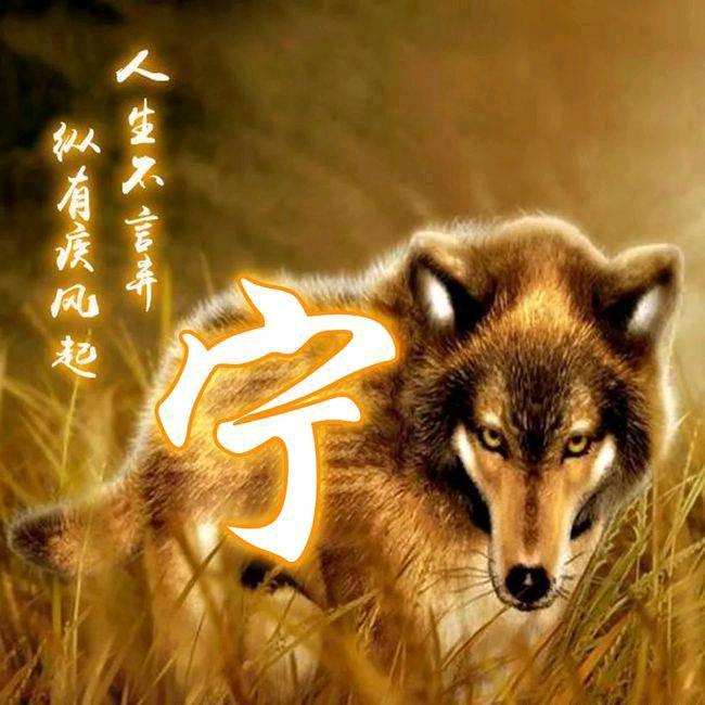 伟哥影视
