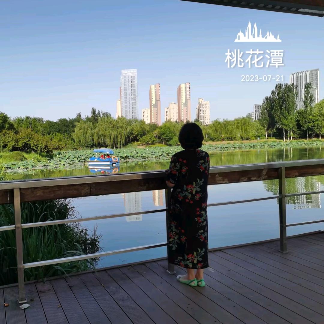 莓子