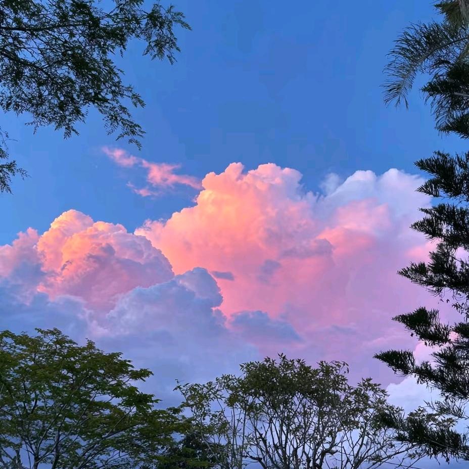 軒★軒  （王眯眯♥） ♥⁰⁹¹⁹