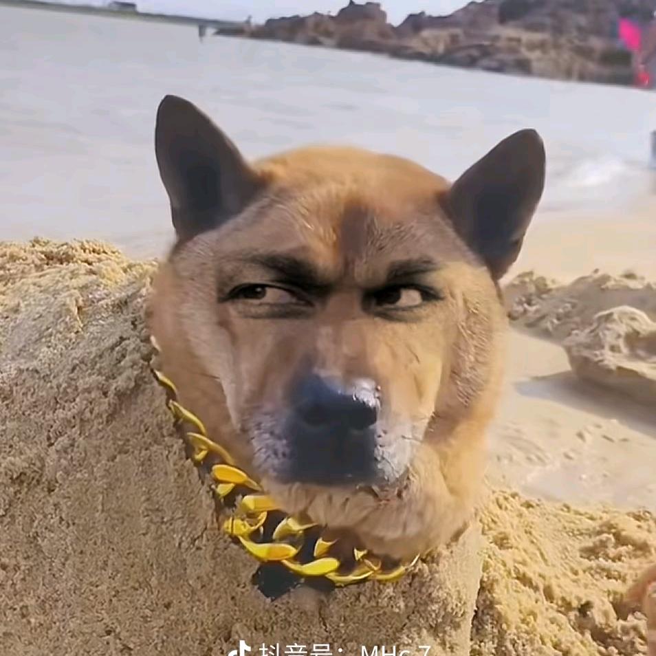 易Mo