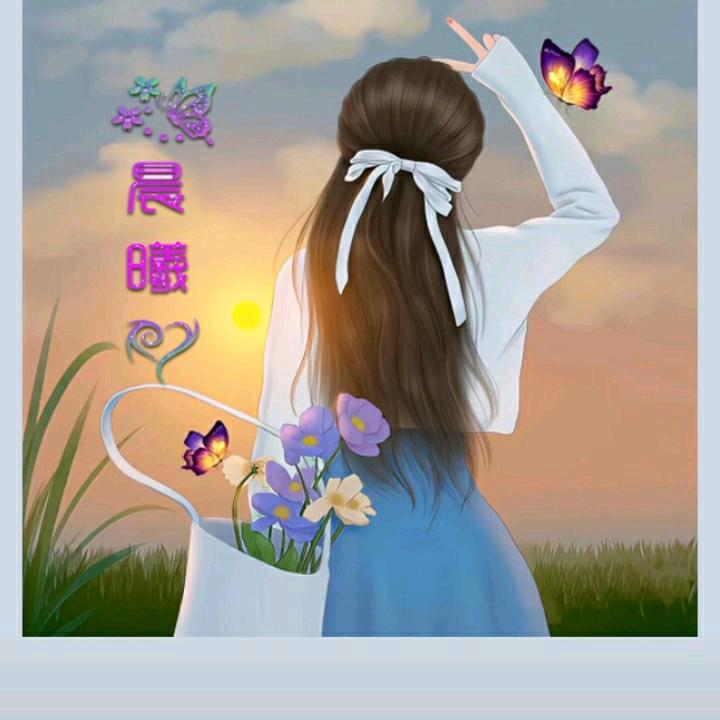 沙仑玫瑰
