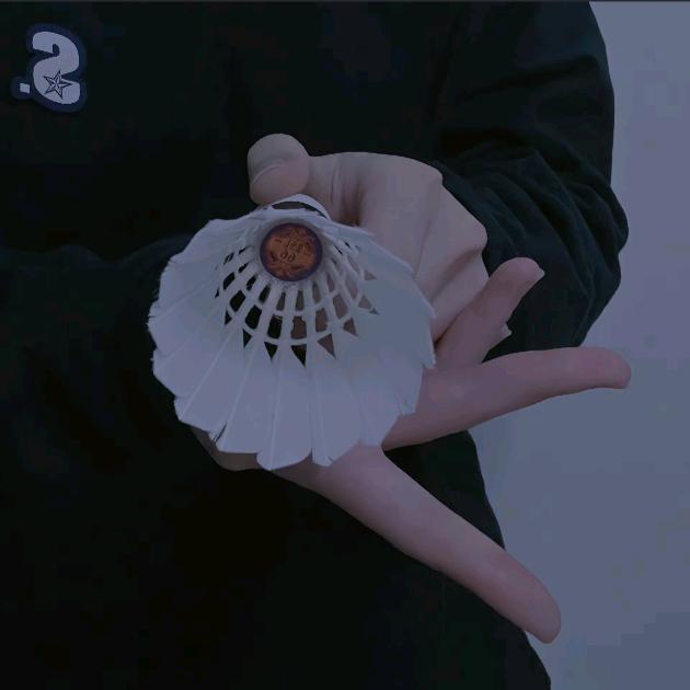 📷渐入佳境
