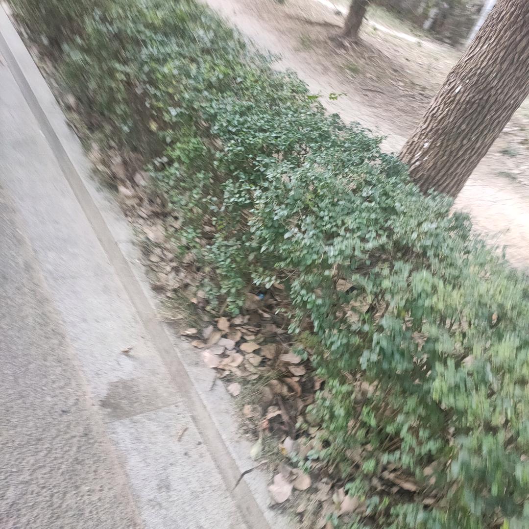 超人