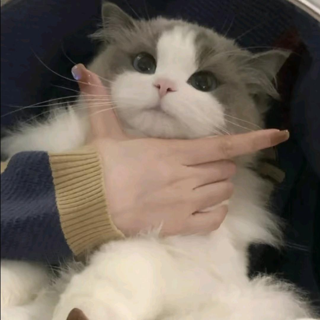 *松崎.🌷💤