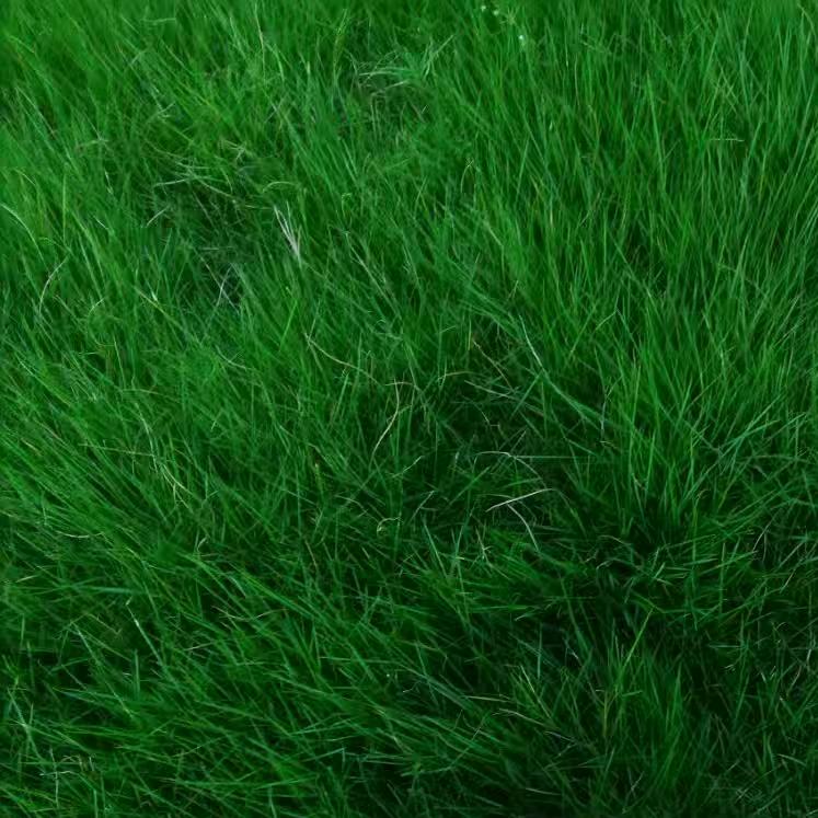 重                生