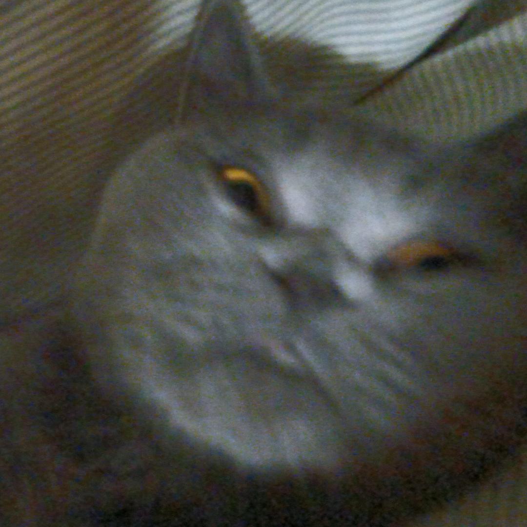爱耶一万年