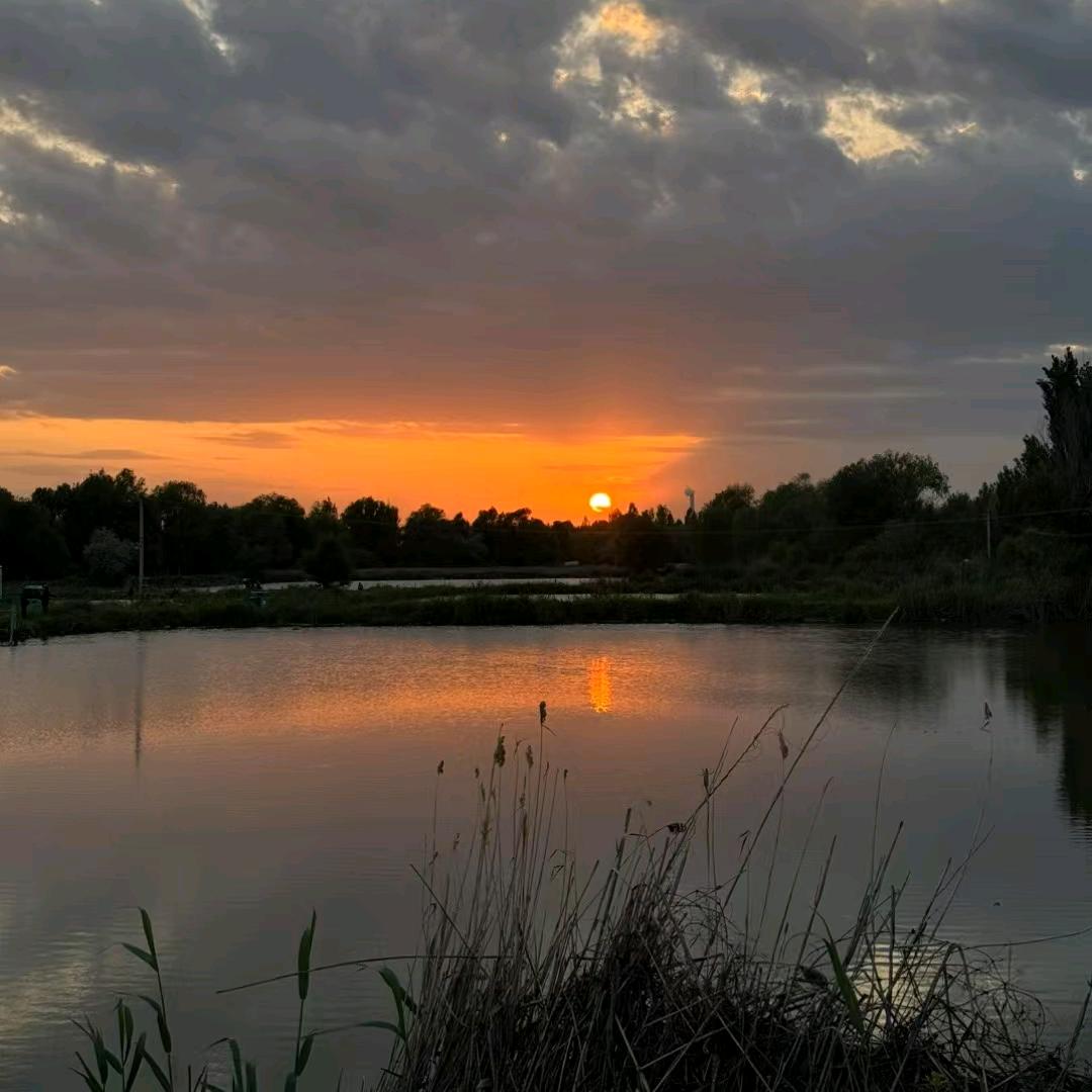 伊犁河芳草湖紫祥芸庄园
