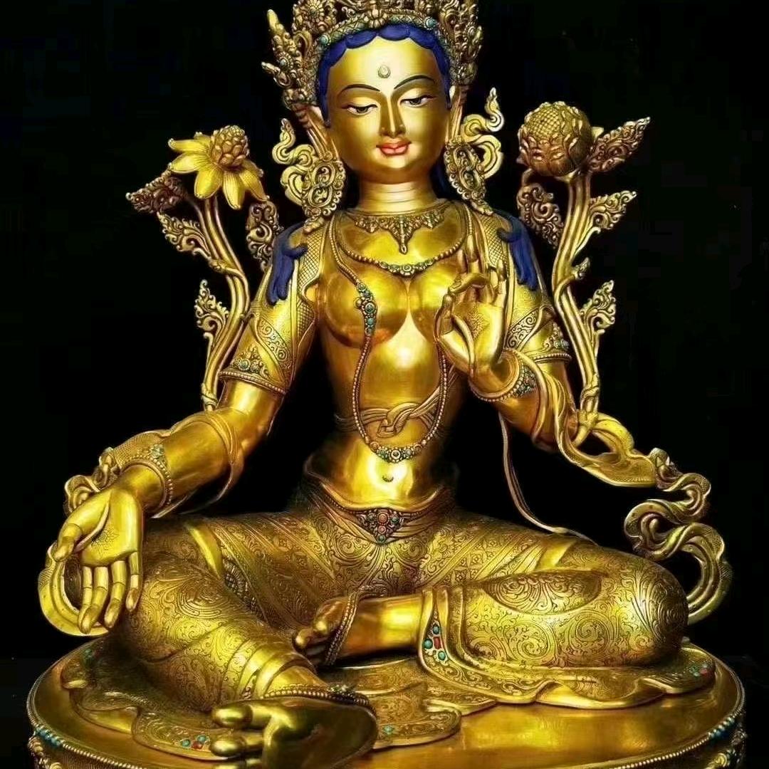 玉树（芙蓉美业）