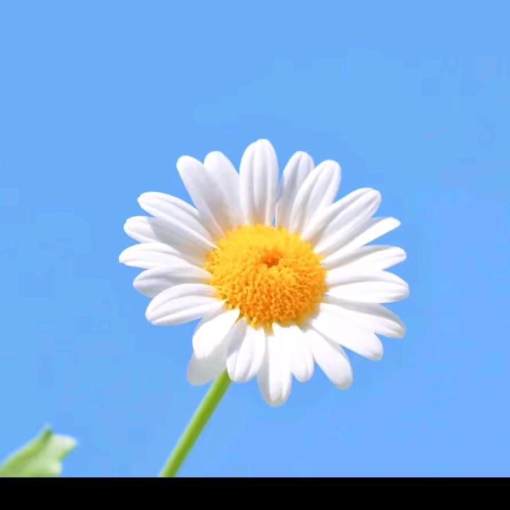 。天天开心