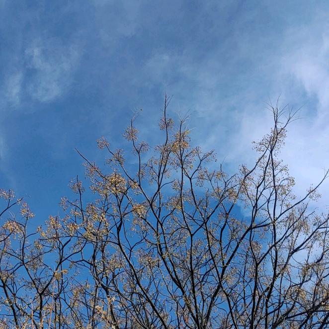 秋里见安（小游戏）