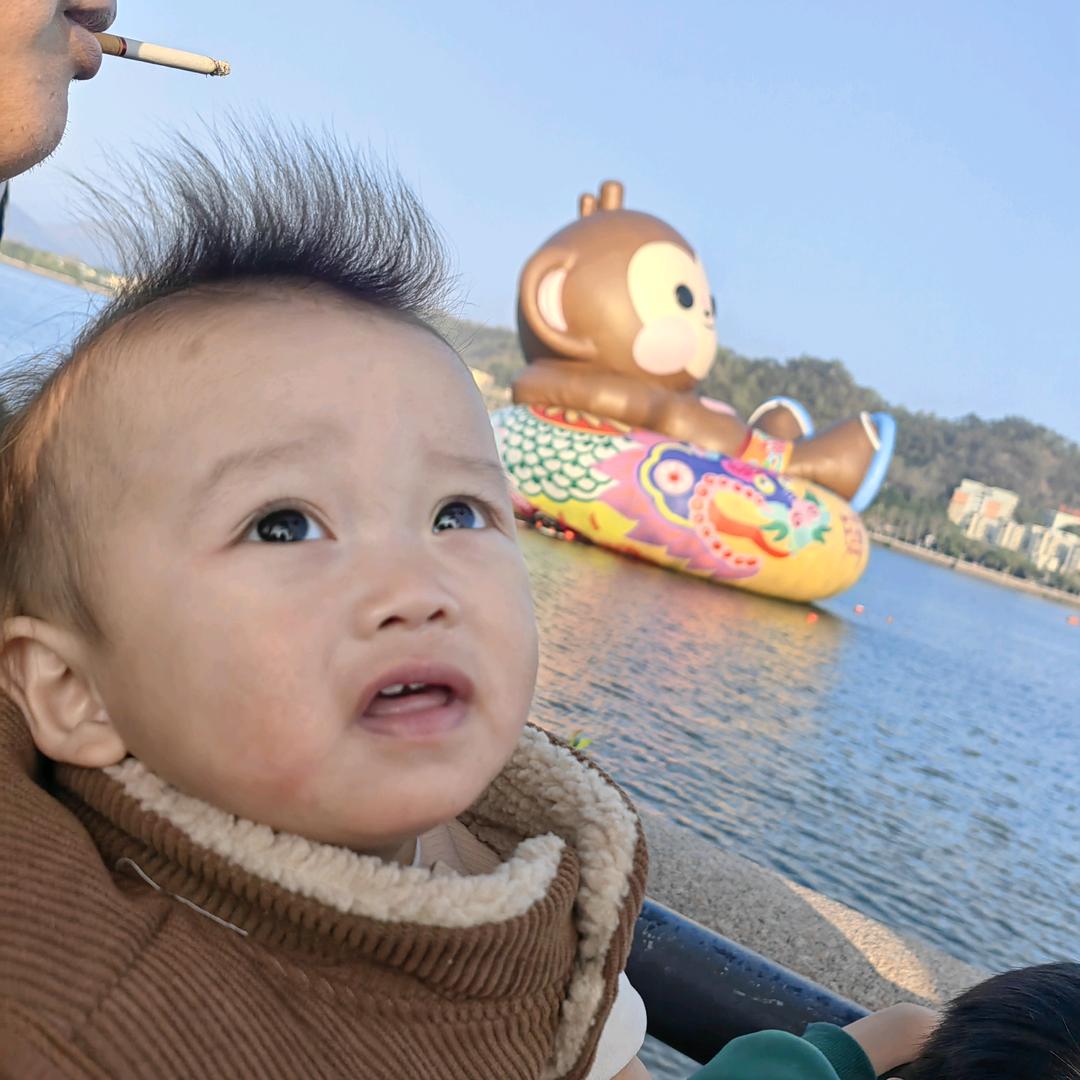 锅锅吖