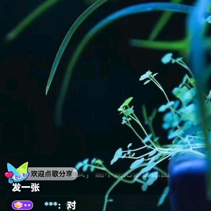 绿水青山⁵²⁹