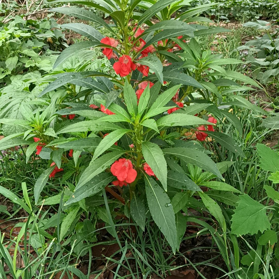 越来越好