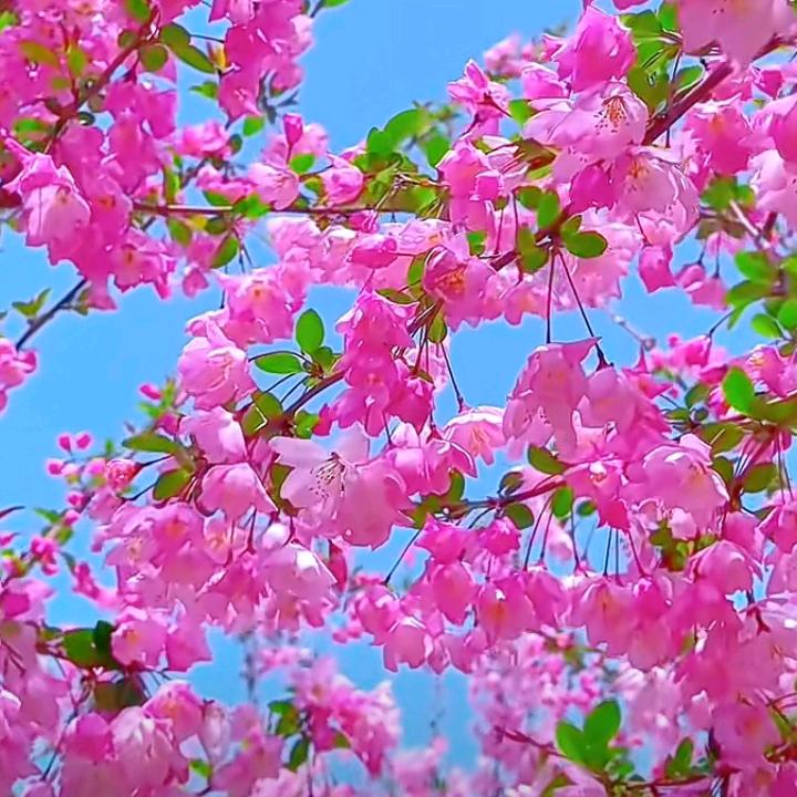 我是艳姐