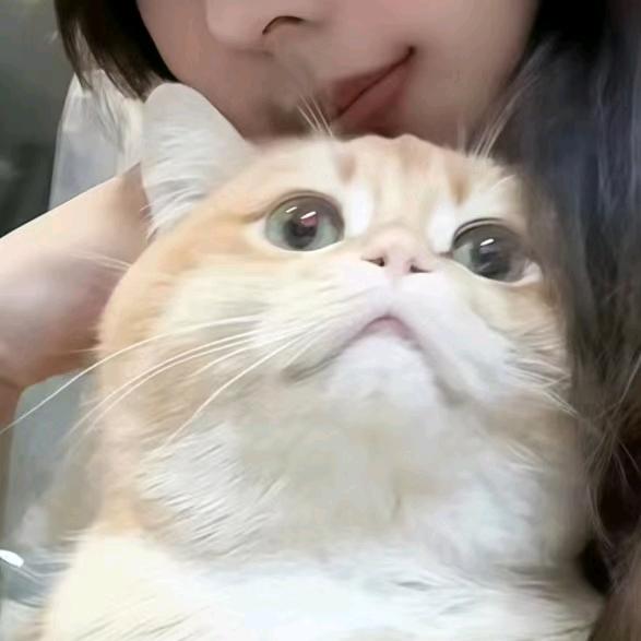 照不住头像