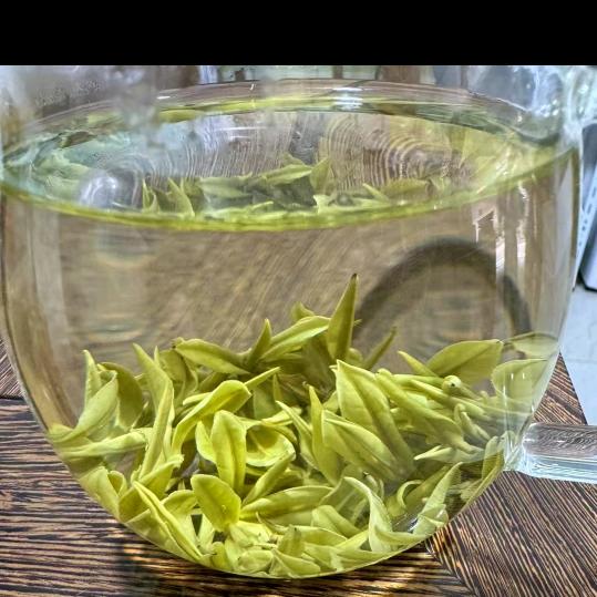 高山茗茶