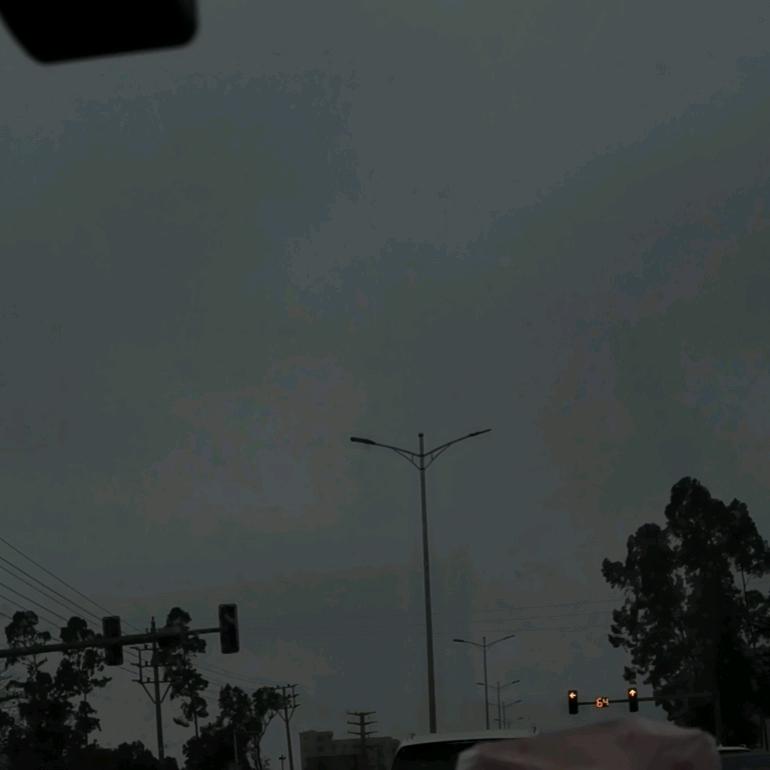 懒羊羊@