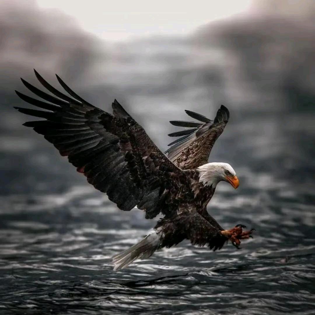 💥((🔥87🔥))💥