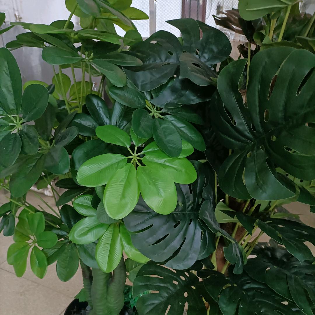 过好没一天