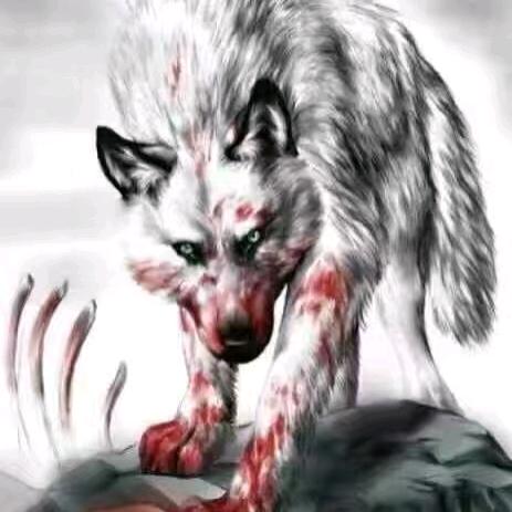 多喜乐🙏长安宁👌