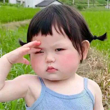 小朱哥