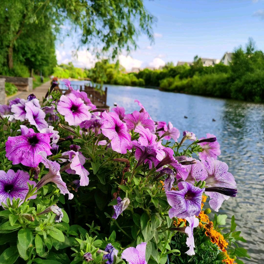 莫筱彩⁹²⁷¹🍒