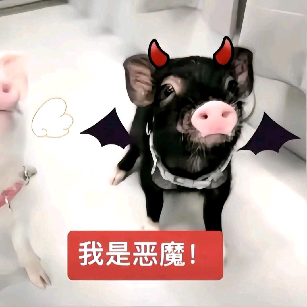 我来自地狱