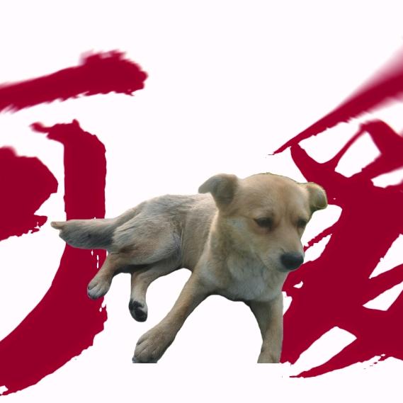 天云侠